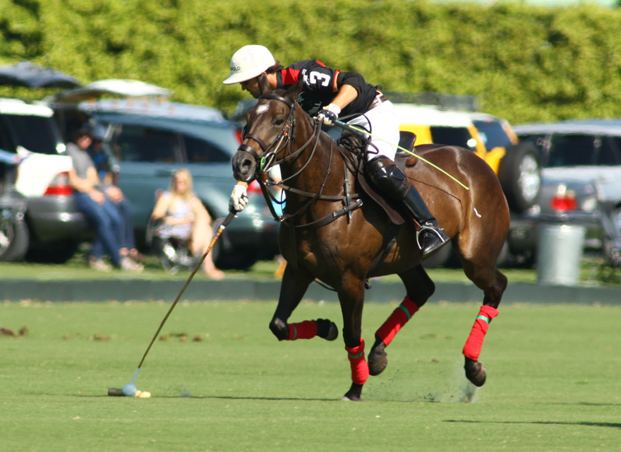  Photos-Gold Cup- Audi 7, Orchard Hill 5