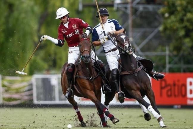 Handicap Havoc Inside Polo by Ron Allen