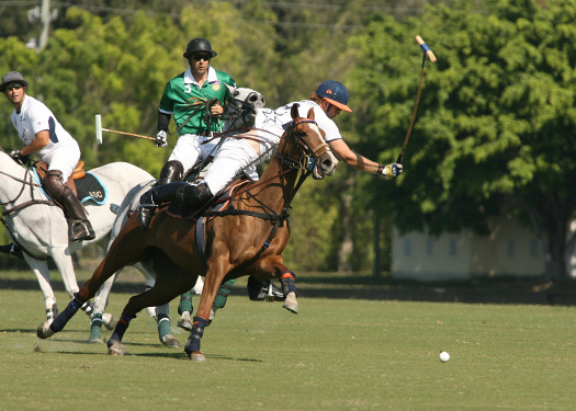 Photos from the Wanderers Classic finals-1-26-13