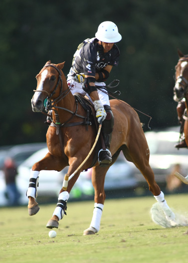 polo top polo tournament polo magazine lechuza piaget polo team 2