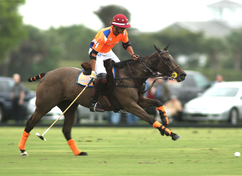 joebarrypolotournamentmemorialcup2014pachecophotospolomagazine 3